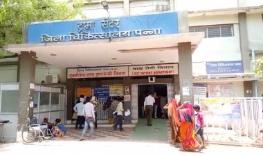 पन्ना में लकड़बग्घे का आतंक, करीबन दो दर्जन लोगों को किया घायल...