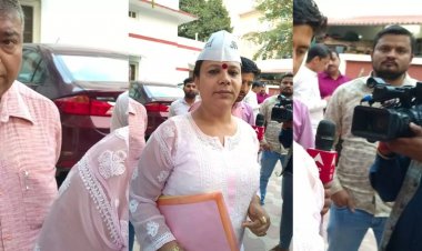 आप का नया इक्का,बॉबी किन्नर को MCD की टिकट