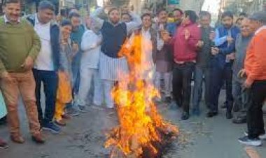 भाजपा ने पाक विदेश मंत्री की टिप्पणी पर रोष जताया