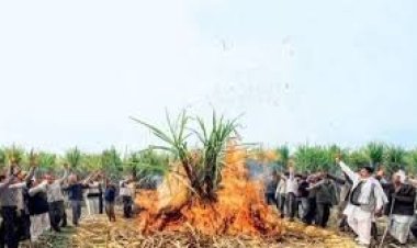 गन्ने का रेट बढ़ाने की मांग को लेकर किसानों का आंदोलन तेज