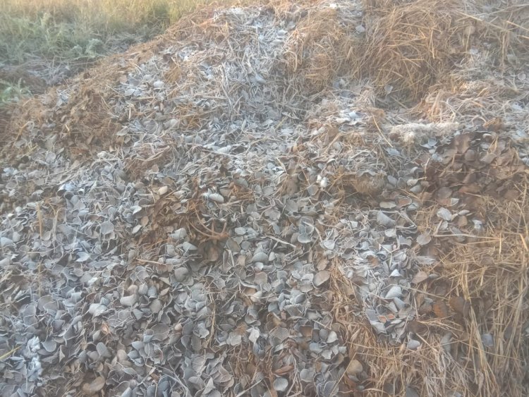 फतेहाबाद में अधिक सर्दी और पाले के कारण खराब हुई फसलों के मुआवजे को लेकर किसानों ने किया प्रदर्शन