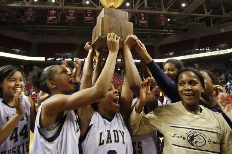 भिवानी : हरियाणा में छाई भिवानी की बेटियां, प्रदेश स्तरीय प्रतियोगिता में किए प्रथम से तृतीय स्थान हासिल