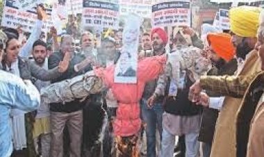 मोदी-अडानी मामले को लेकर चल रही राजनीति में आप ने जेपीसी की मांग को लेकर अडानी का पुतला फूंका