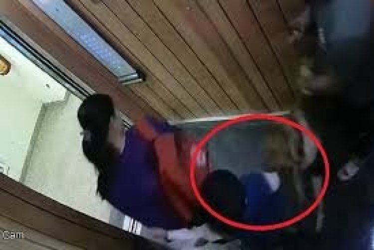 गुरूग्राम : शहर के कुत्तों का आतंक बढ़ा, बच्चों को बना रहे निशाना