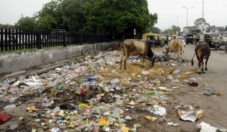 अंबाला शहर में इन दिनों सफाई व्यवस्था चरमराई, जगह जगह गंदगी के ढेर