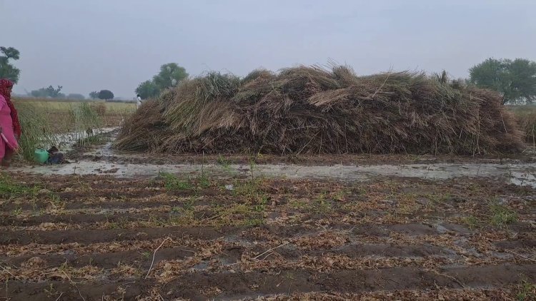  पानी से किसानो को नुकसान, मुआवजे की उठाई मांग  